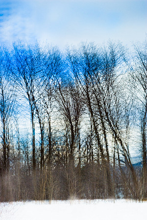 Winter Wind