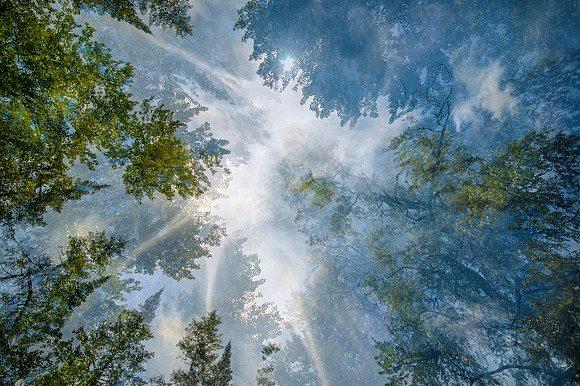 Upward I