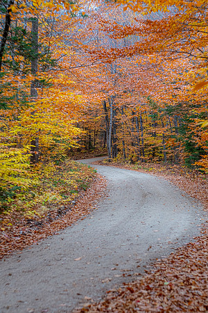 Mineral Trail Road