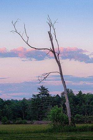 Evening View