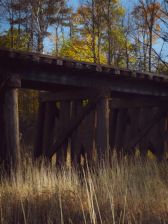 UnderThe Trestle