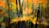 Autumn Expectations