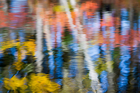The Ripple Effect