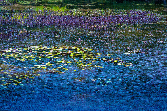September Showers